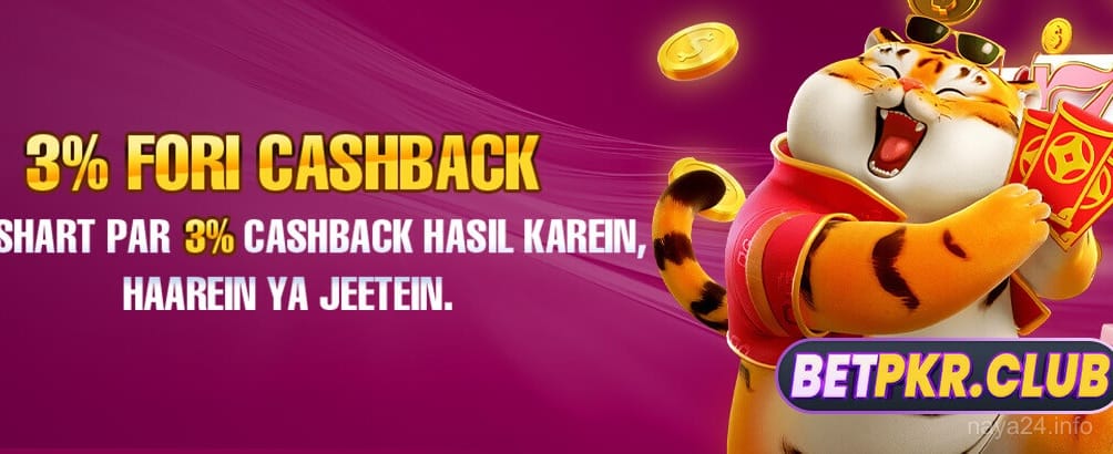 naya24 game forest adventure